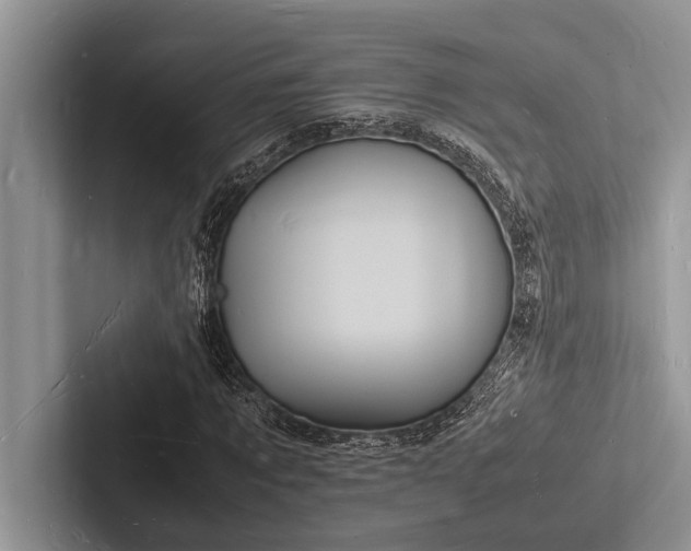 X0000103250869200809111613