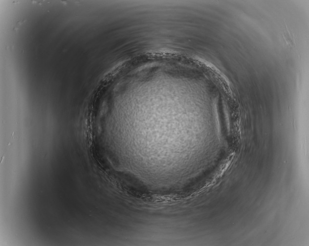 X0000103250870200809111613