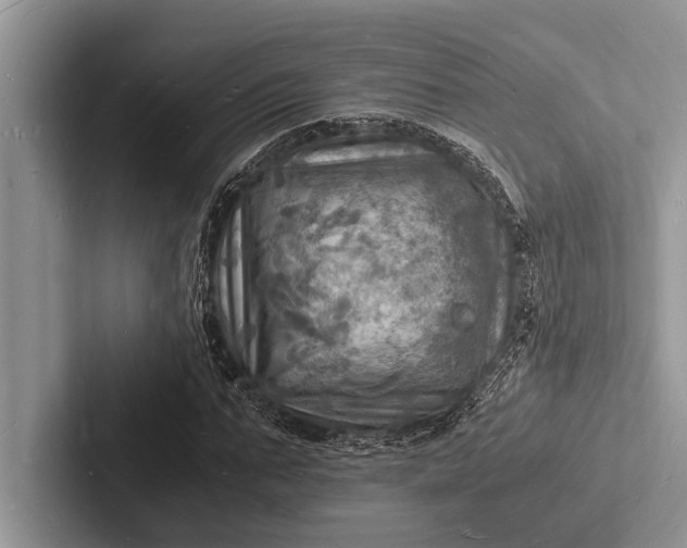 X0000103250871200809111613