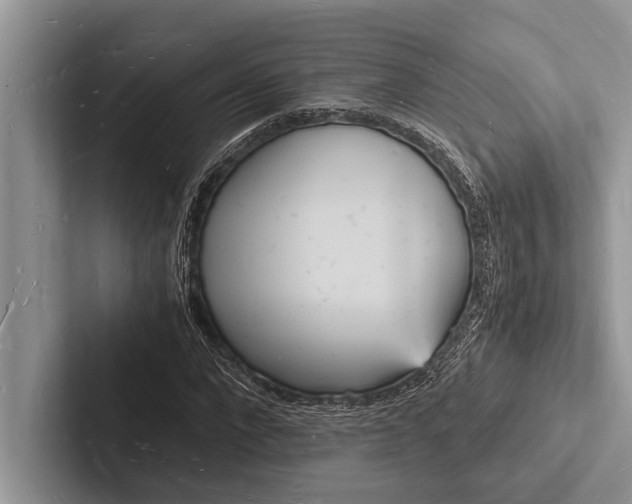 X0000103250872200809111613