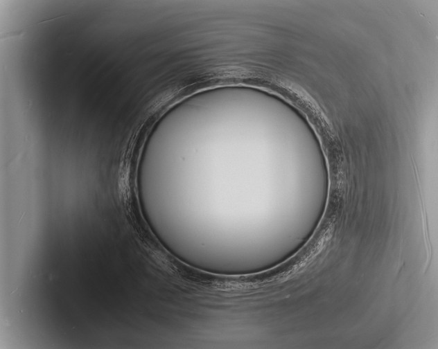 X0000103250873200809111613