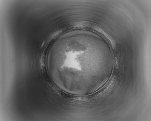 X0000103250874200809111613