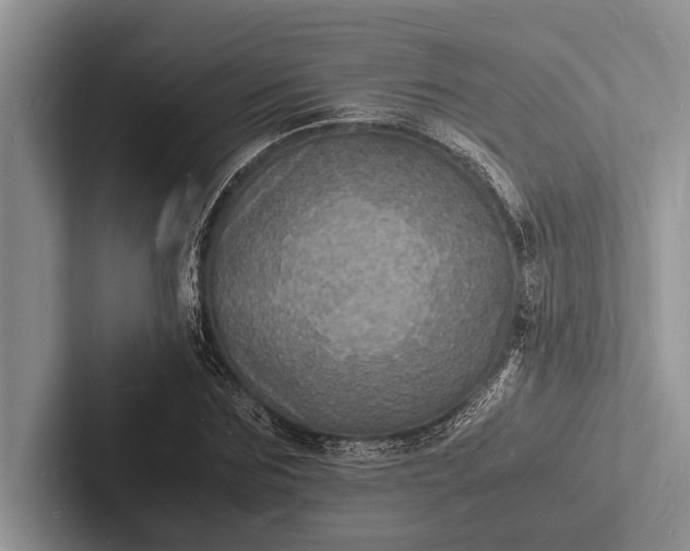 X0000103250875200809111613