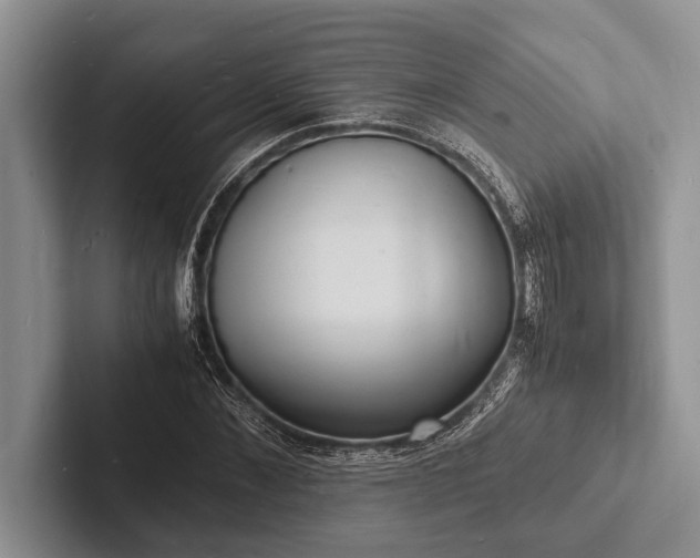 X0000103250876200809111613