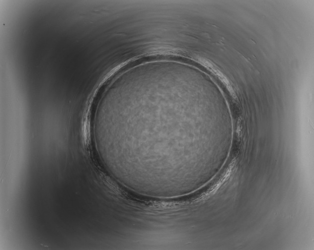 X0000103250877200809111613