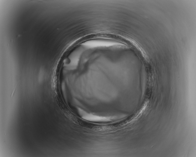 X0000103250879200809111613