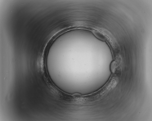 X0000103250880200809111613