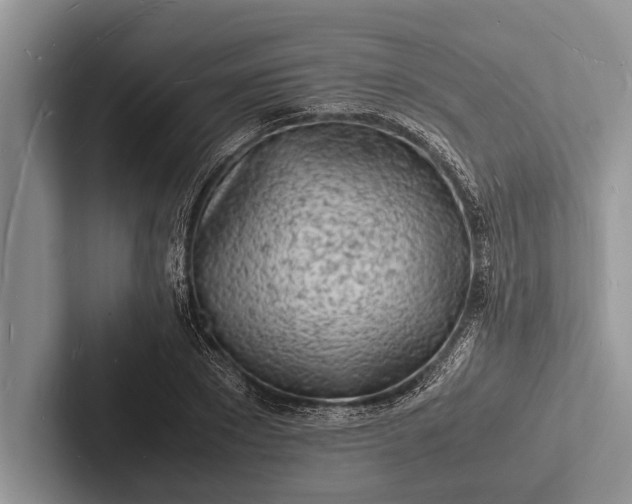 X0000103250881200809111613