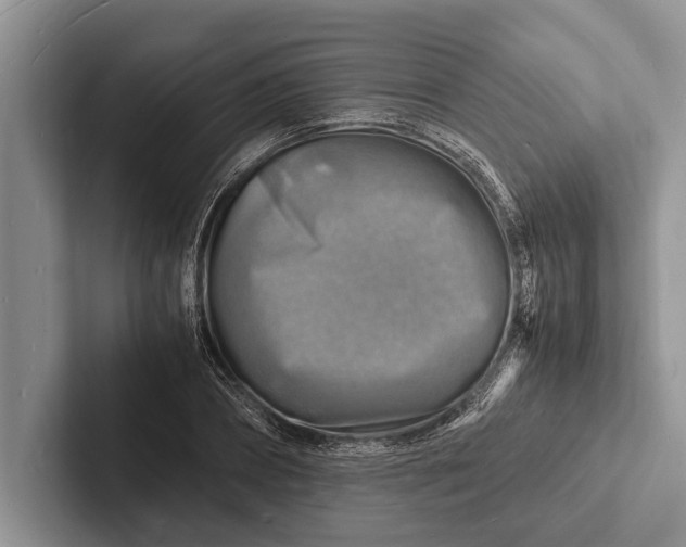 X0000103250882200809111613