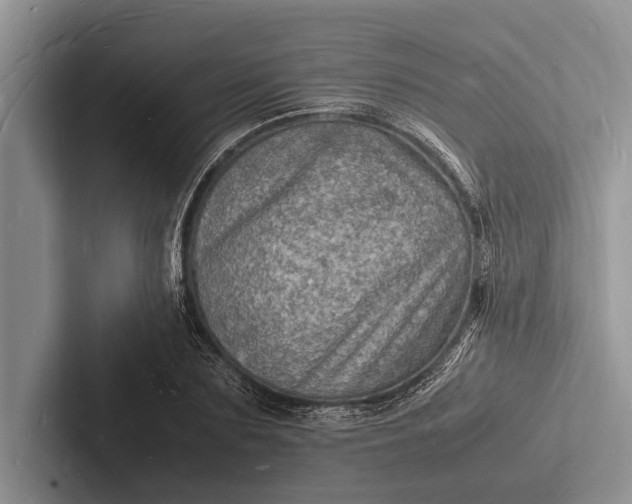 X0000103250883200809111613