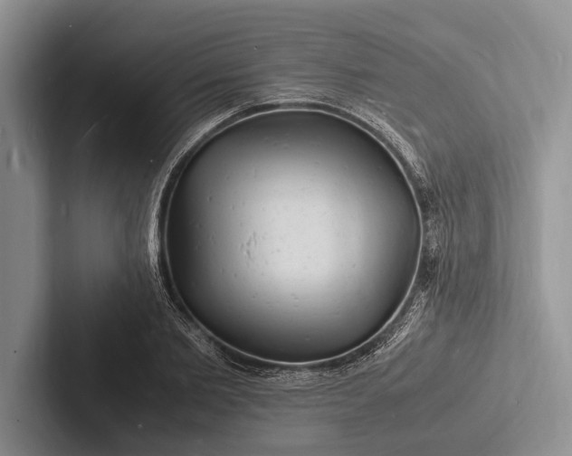 X0000103250885200809111613