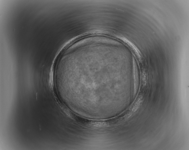 X0000103250886200809111613