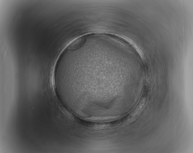 X0000103250887200809111613