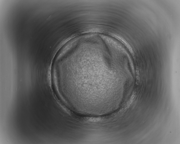 X0000103250890200809111613
