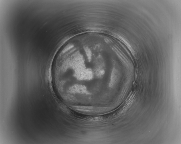 X0000103250891200809111613