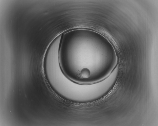 X0000103250892200809111613