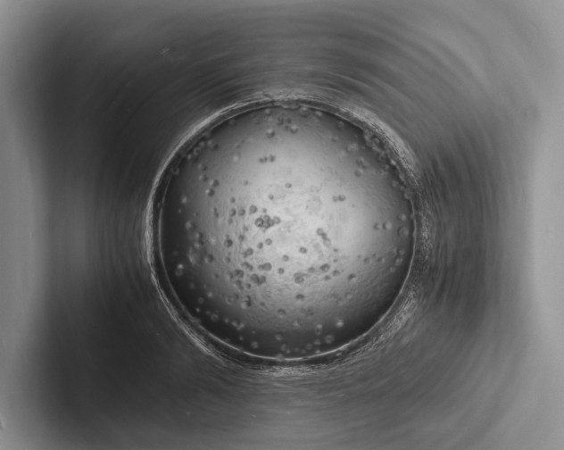 X0000103250894200809111613