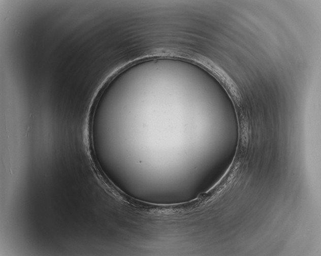 X0000103250896200809111613