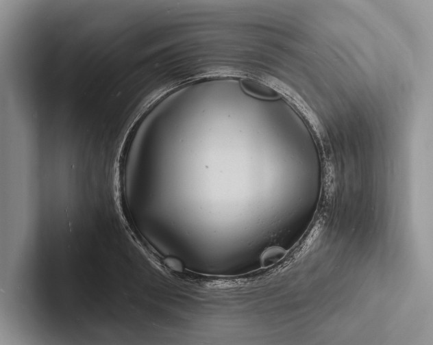 X0000103250898200809111613