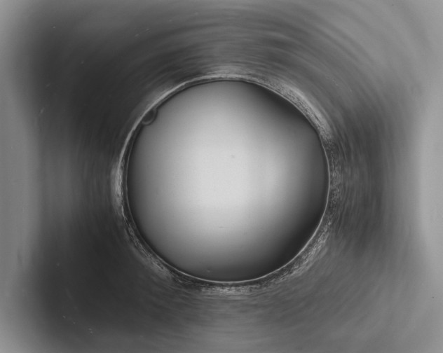 X0000103250900200809111613