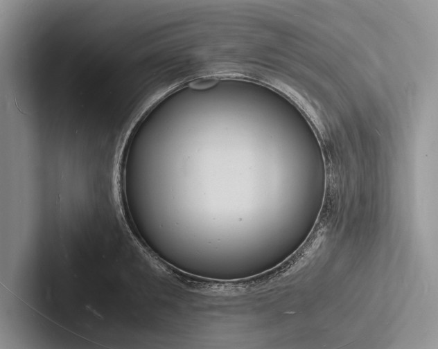 X0000103250901200809111613