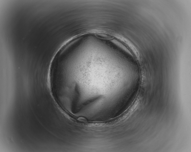 X0000103250902200809111613