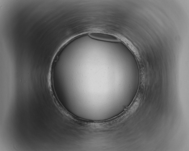 X0000103250904200809111613