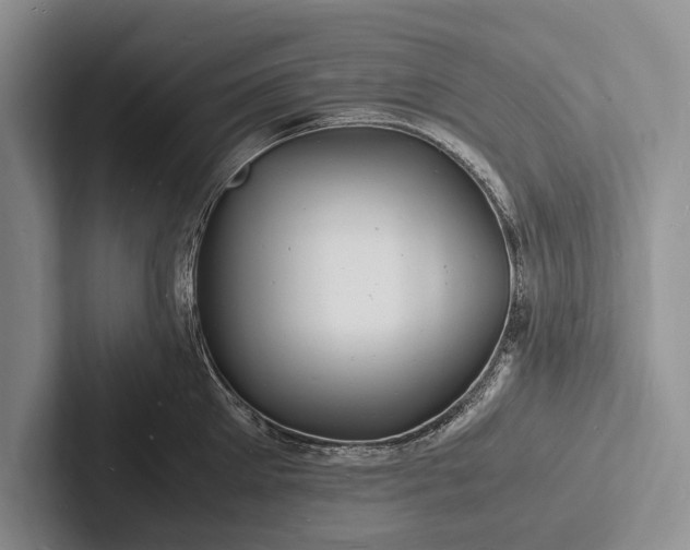 X0000103250905200809111613