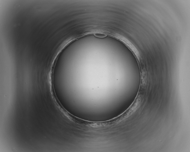 X0000103250906200809111613