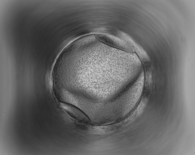 X0000103250908200809111613