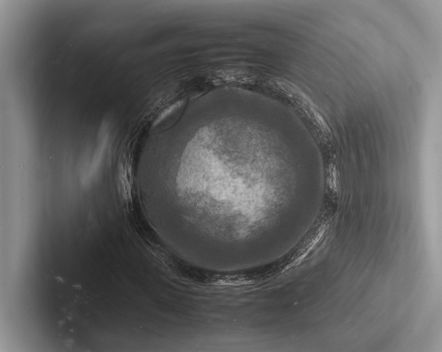 X0000103250915200809111612