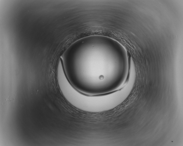 X0000103250916200809111612