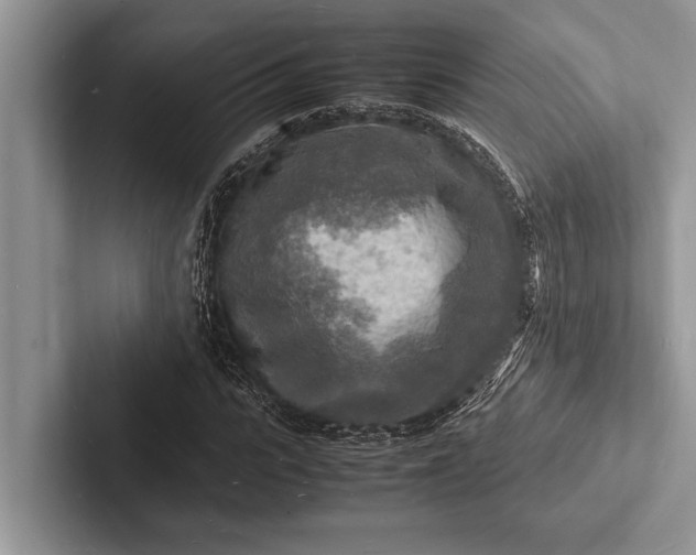 X0000103250919200809111612