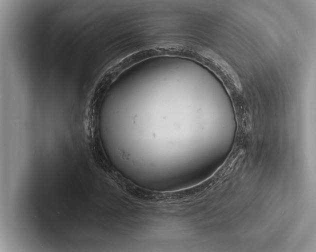 X0000103250920200809111612