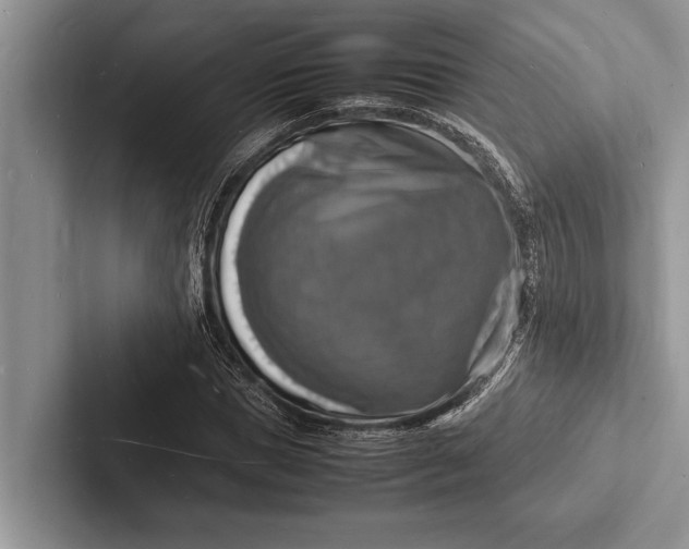 X0000103250921200809111612