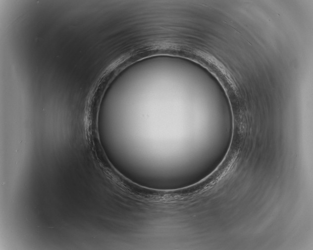 X0000103250922200809111612
