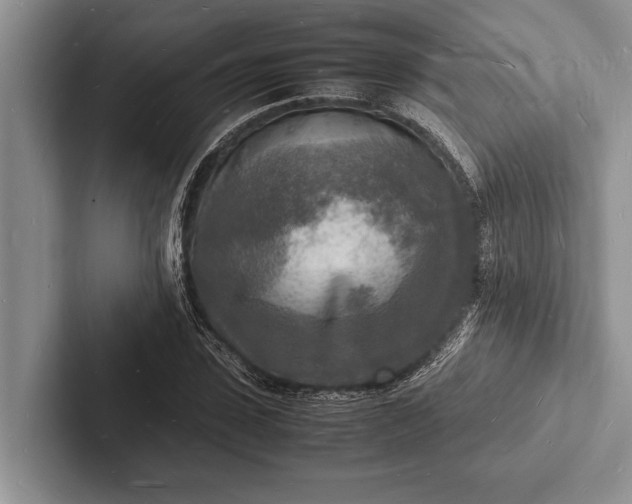 X0000103250923200809111612