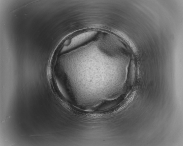 X0000103250924200809111612