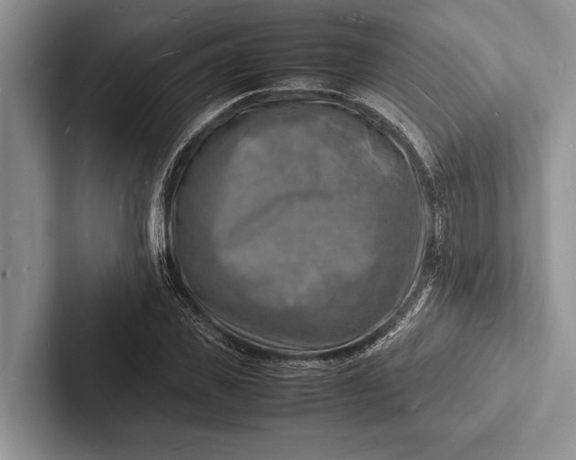 X0000103250925200809111612