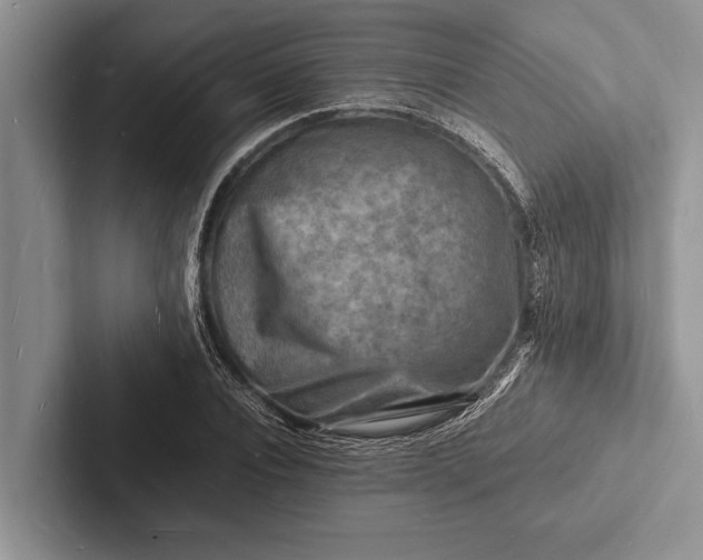 X0000103250928200809111612