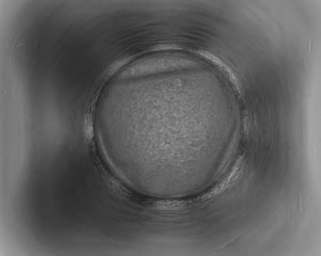 X0000103250929200809111612