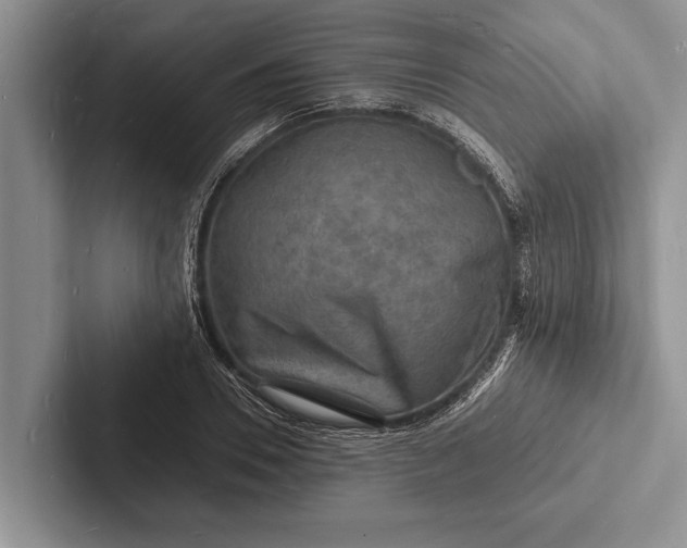 X0000103250930200809111612