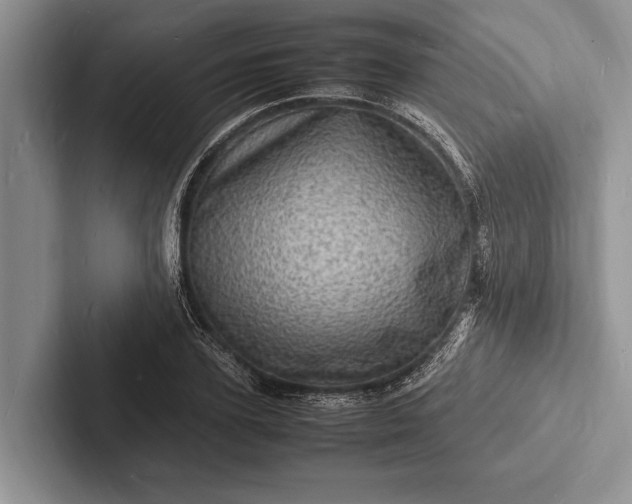 X0000103250931200809111612