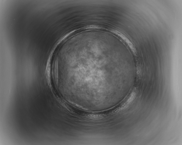 X0000103250933200809111612