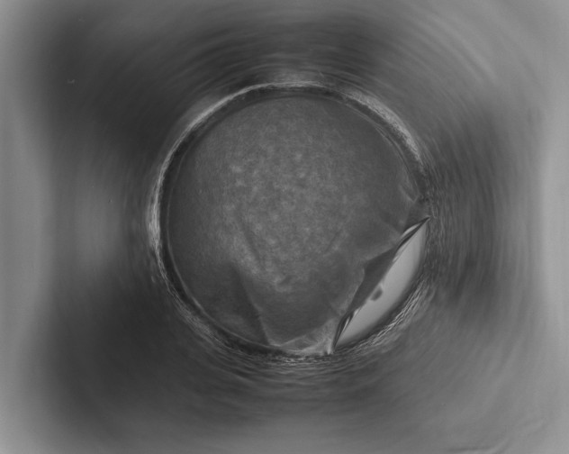 X0000103250935200809111612