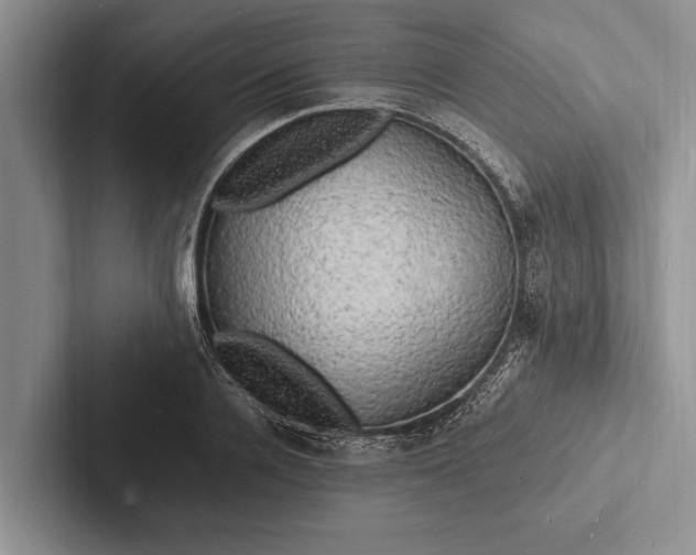 X0000103250936200809111612