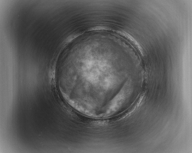 X0000103250937200809111612