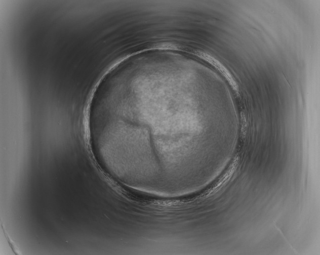 X0000103250939200809111612