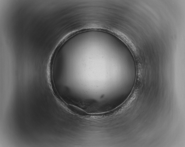 X0000103250942200809111612