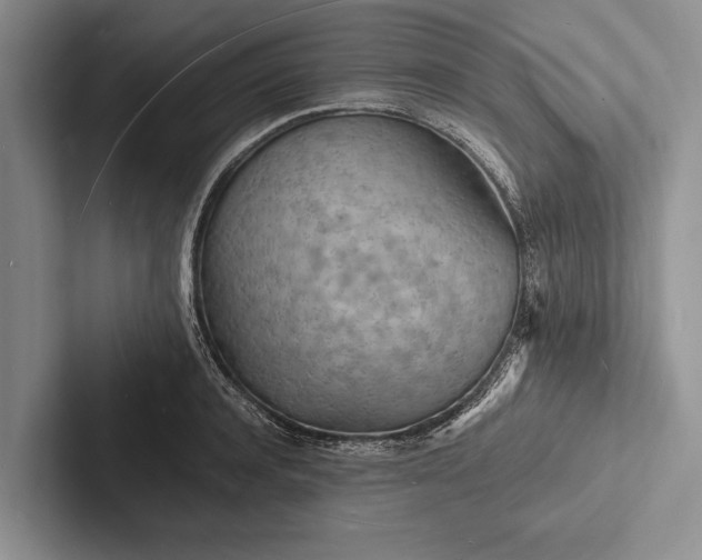 X0000103250944200809111612